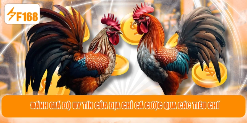 Đánh giá độ uy tín của địa chỉ cá cược qua các tiêu chí